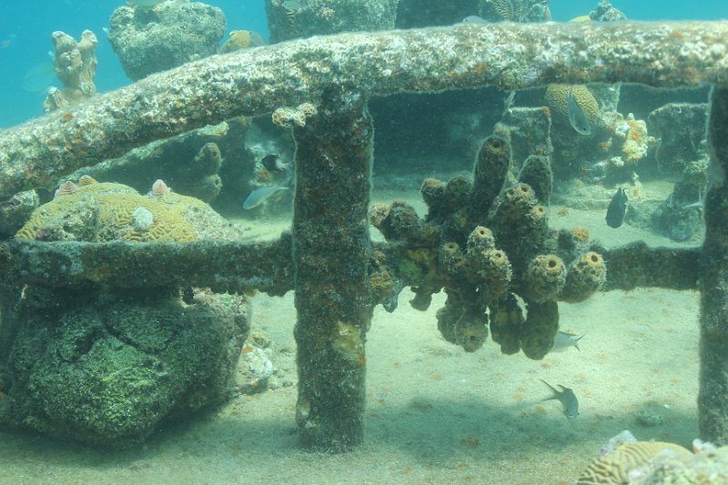Curacao 04-12 081.JPG